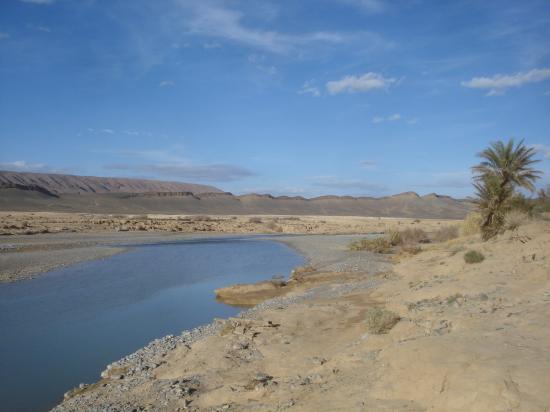 L'oasis